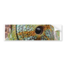 Chameleon Eye Mod Stylish Animal Bumper Sticker