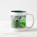 Chameleon eye mugs