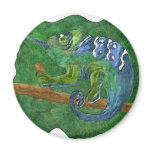 Chameleon in the country magnets
