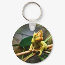 Chameleon keychains by sharonsphotography Chameleon keychains