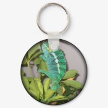 Chameleon keychains by steelersdiehard Chameleon keychains