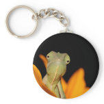chameleon keychains