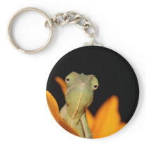 chameleon keychains