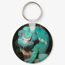 Chameleon keychains by Fatjuan Chameleon keychains