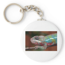 chameleon key chains