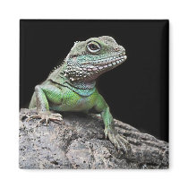 Chameleon magnets