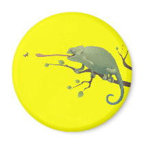 CHAMELEON magnets