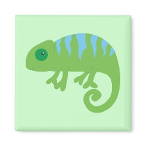 Chameleon magnets