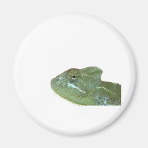 chameleon magnets