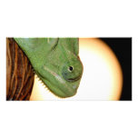 chameleon photo cards