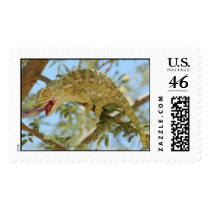 Chameleon postage