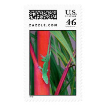 Chameleon postage