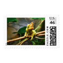 Chameleon postage