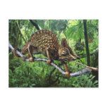 Chameleon Postcard