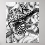 chameleon posters