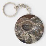 Chameleon waiting for prey key chain