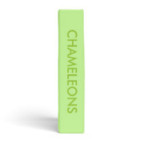 CHAMELEONS 3 RING BINDER
