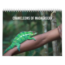 Chameleons of Madagascar Calendar calendars
