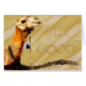 chamo 2 cards by nefera chamo 2 cards
