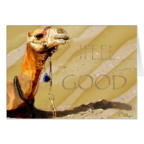 chamo 2 cards by nefera chamo 2 cards
