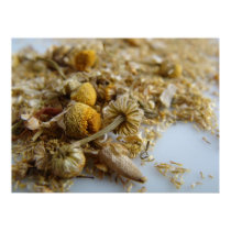 Chamomile posters by Cozycomfycouch Chamomile posters