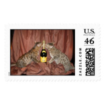 Champagne for Bengals Postage Stamps