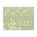 Champagne & Kiwi Save The Date-Custom For Liz postcards by twoheartsshoppe Champagne & Kiwi Save The Date-Custom For Liz postcards