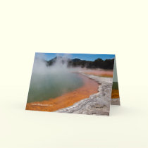 Champagne Pools cards