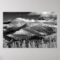 Champagne Snowscape Print