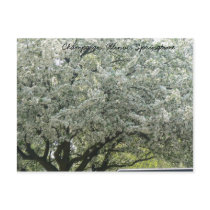 Champaign, Illinois Springtime postcards by jeekers17 Champaign, Illinois Springtime postcards