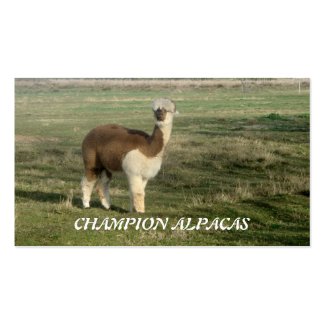 Champion Alpacas Business Card Template