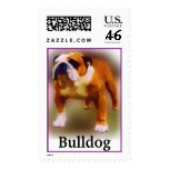 Champion Bulldog Stamp