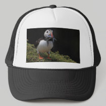 Champion Fisher Puffin Hat