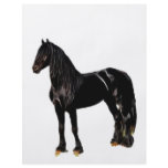 Champion horse flyers