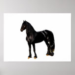 Champion horse print