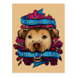 Champion Poot Bull Post Card