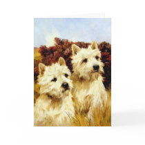 Champion Westhighland White Terriers cards