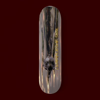 CHAMPIONSHIP SEAL skateboard by RavenSpiritPrints