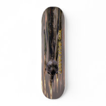 CHAMPIONSHIP SEAL skateboard by RavenSpiritPrints CHAMPIONSHIP SEAL skateboard