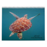Chan Chemuyil Underwater Calendar
