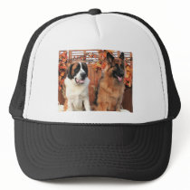 Chance LH-Shepard & Mae St Bernard Photo-3 hats by FrankzPawPrintz Chance LH-Shepard & Mae St Bernard Photo-3 hats