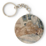 Chance Relax Keychains