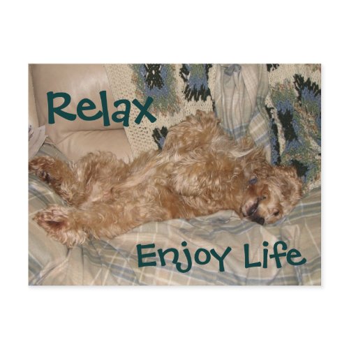 Chance Relax postcard