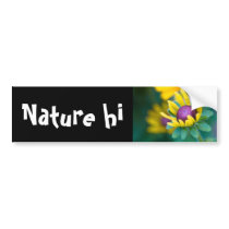 chance smitten bumper stickers