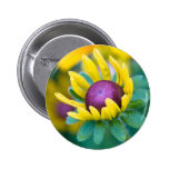 chance smitten buttons