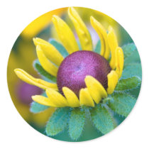 chance smitten stickers by blacqbook chance smitten stickers