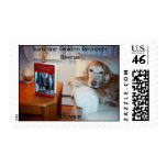 Chance Stamps Sunshine Golden Retriever Rescue