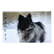 CHANCES posters by mooregrim CHANCES posters