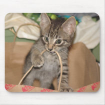Chandler in Trouble Mousepad