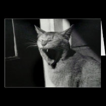 Chang yawning cards